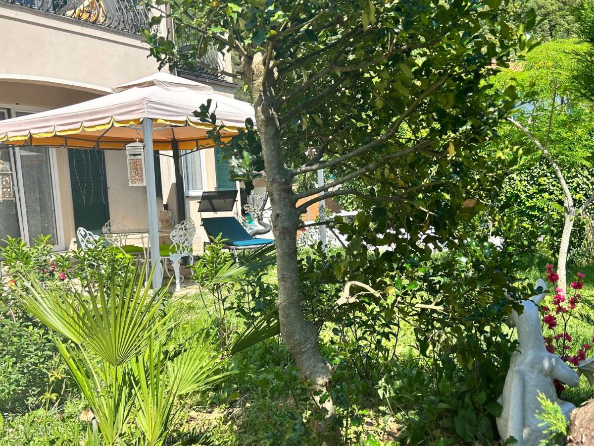 House Of Artist Apartment Isolabona